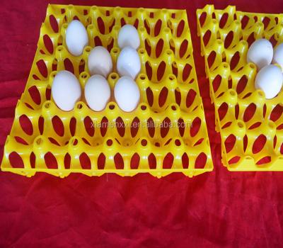China eggs colorful yellow plastic blister thermoforming vacuum plates zu verkaufen