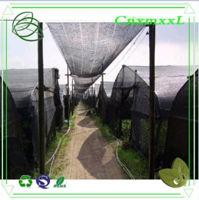 China high quality PP woven sun shade net house farming in low price for sale