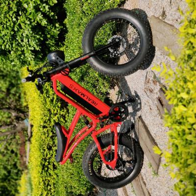 China Factory Supplier ANDUUK Alloy China Directly Aluminum Rear Motor 20 Inch High Speed Electric Bicycle For Adult for sale