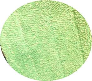 중국 꼬이는 13*47 겹 스티치 microfiber 젖은 청소 mop 패드 머리를 녹색이 되십시오 판매용