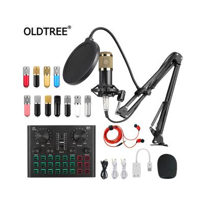 China Professional Kareoke Bm800 V8Plus Condenser Microphone Sound Card Set For Webcast Live Recording for sale