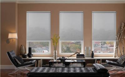 China Anti rolo UV do branco abaixo das cortinas, cortinas de rolo Bunnings do escurecimento Dustproof à venda