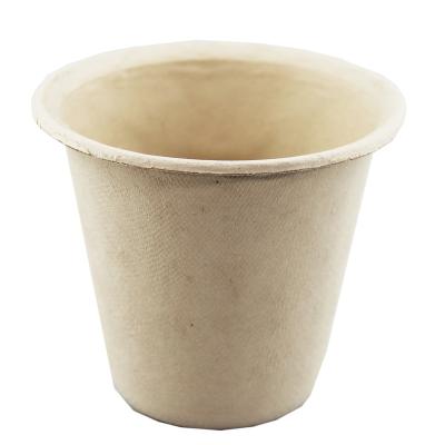 China 200ml Disposable Disposable 100% Bamboo Fiber Coffee Water Paper Cup for sale