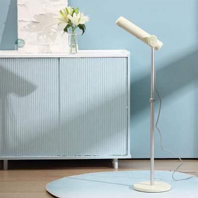 China 1700W High Speed Negative Ion Hair Dryer Quickly Dries Hair Soft and Fluffy Reduces Static Electricity for sale