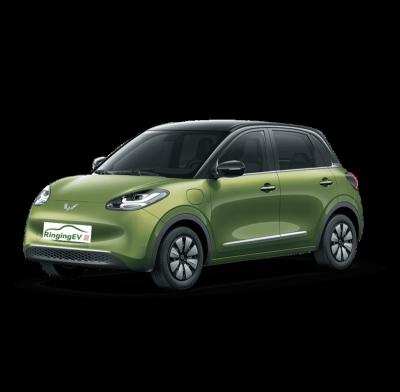 China Wuling New Cloth Cars Chinese Mimi SUV Electric Car Mini Bingo Cheap Price EV Car For Adults for sale