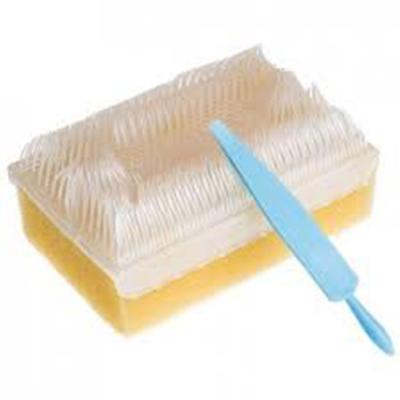 China Disposable Infection Prevention Supplies Surgical Scrub Brushes for sale