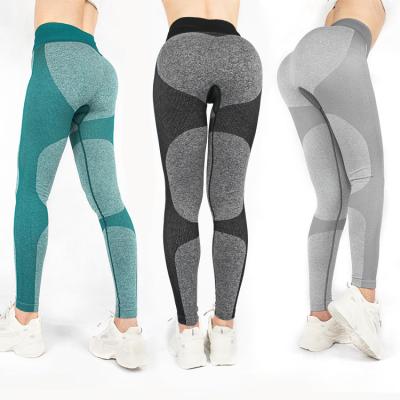 China Breathable Liftingcontrol Hip Tummy Gaiters Gym Sport Women Seamless Yoga Pants High Waist Sports Running Gaiters for sale