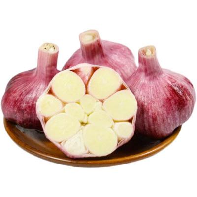 China Fresh Export Garlic 3p Garlic Powder Chinese Pure White Garlic for sale