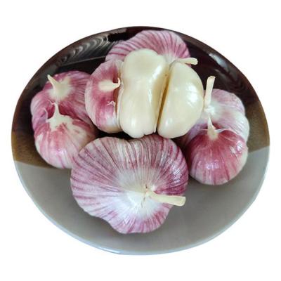 China 4.5cm Carton 10kg Fresh Black Garlic Black Garlic Fermenter Fresh Garlic for sale