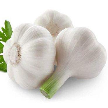 China Wholesale Fresh Garlic 6p Chinese Pure White Garlic Cheap Price Fresh Garlic for sale