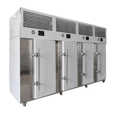 China SPEEDCRYO Multi Door Freezer Suitable For Food & Beverage Factory, Farms usage à venda