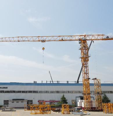 China 40 m Lifting Tower Kraan 6t bouw Te koop