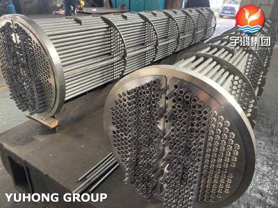 China Heat Exchanger Tube Bundle, Stainless Steel Seamless Tube ASME SA213 TP316L , Tubesheet SA350 LF2 CL1N for sale