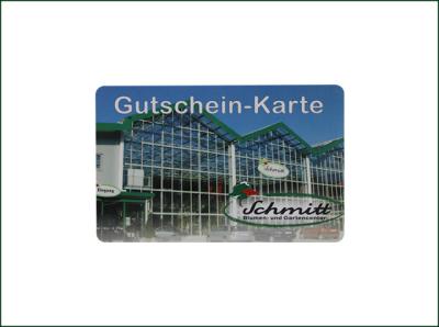 China Chip-Smarts 13,56 MHZ RFID HF RFID klassische 1k S50 ISO-14443A Karte zu verkaufen