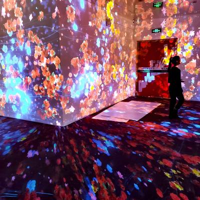 Cina Studio Yoga Proiezione a Parete Proiezione a Pavimento Show Interattivo di Realtà Virtuale Museo in vendita