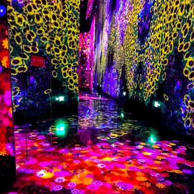 Cina Esperienza interattiva a occhio nudo Virtual 3D Indoor Immersive Exhibition in vendita