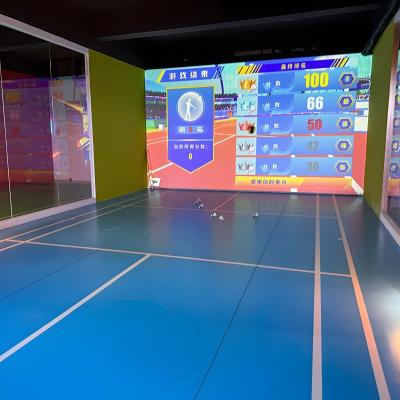 China Northern Lights Profesional Deportes AR Indoor Bádminton Juegos de pelota en el interior en venta