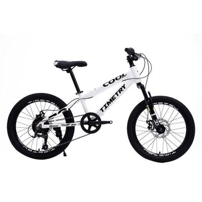 China Aluminum Alloy Cheap Price 20 Inch 7 Speed Carbon Steel Kids Mtb Mountain Bicycle for sale