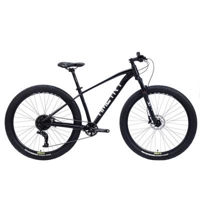 China Aluminum Alloy New Product 29 Inch 10 Speed Disc Brake Mountain Bike Mechanical Bicycle for sale