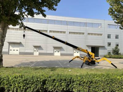 China 8 Tons Max Working Radius 19.5m Lifting Capacity 0-75 Degree Working Range Crane en venta