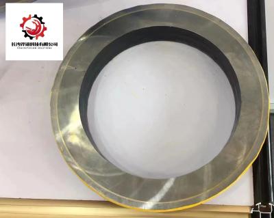 China 200 Putzmeister Wear Plate Cutting Ring for Concrete Pump for sale