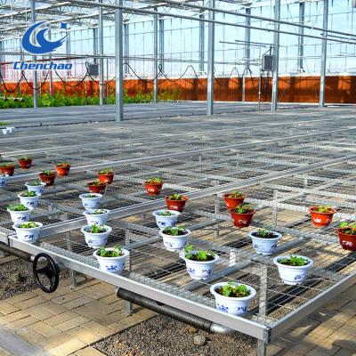 China Online Buying Low Cost China Greenhouse Mobile Seedling For Garden Vegetable for sale