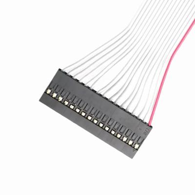 China DP2.54-1×16P to IDC2.54 2×8P Ribbon Cable Assembly | Custom Pitch 2.54mm for sale