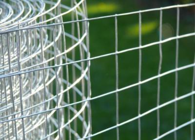 China De hoge Duurzaamheid galvaniseerde Gelast Mesh Rolls For Poultry Raising Te koop