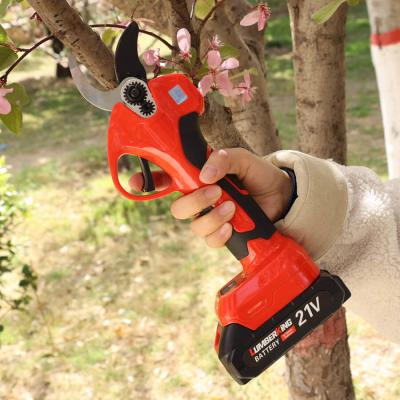 China Telescopic Battery Pruner Tree Pruner Battery Pruning Shears Tree Pole Pruner 2 Batteries 1 Charger Pruning Shears Electric for sale