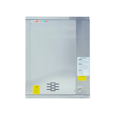 China Versatile Household Gas Steam Generator Stainless Steel Low Pressure for sale