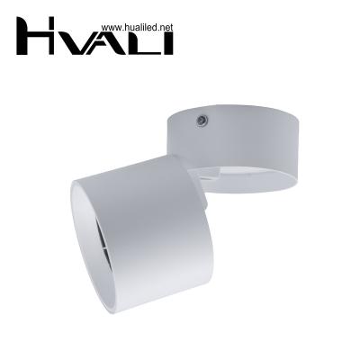 China Modern HUAL NEW COB Adjustable Surface Mounted LED Ceiling Lamp Foldable 355Degree Rotatable Track Spot light for sale