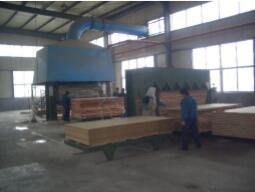 Chine Blockboard, Paulownia/poplar/Indonesia Bare core, faced can be each veneer, or we faced with MDF, Chipboard; Glue MR, E à vendre