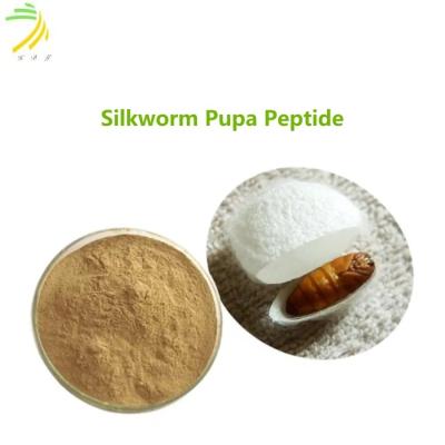 China 500-1200D Gusanos de seda secos de la tierra Pupa péptido cosmético polvo marrón amarillento en venta