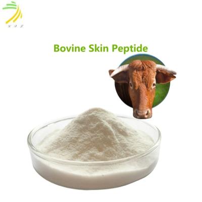 China 98% Peptidos de colágeno de piel bovina de grado alimenticio CAS 9000-70-8 para el cuidado de la piel en venta