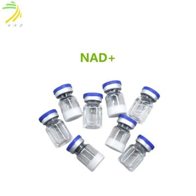 China 95% NAD+ 750 mg/ frasco Peptido Branco em Pó liofilizado CAS 53-84-9 à venda