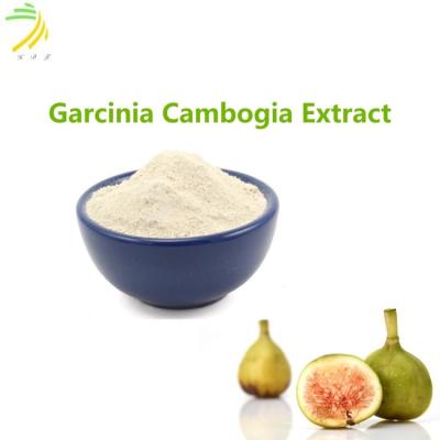 China 50% reine Frucht Garcinia Cambogia Extrakt Hydroxycitrische Säure HCA Pulver zu verkaufen