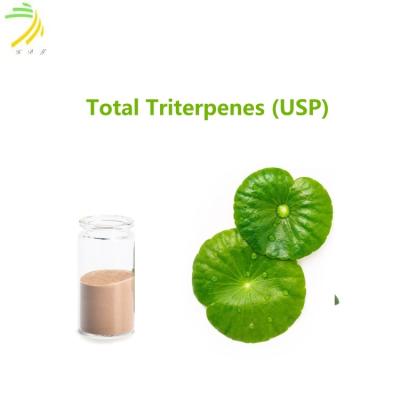 China 90% Assay Pflanzenextrakt Total Triterpene Pulver USP mit charakteristischem Geruch zu verkaufen