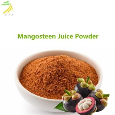 China 5% Moisture Content Dehydrated Mangosteen Fruit Pericarp (Rind) Juice Powder for sale