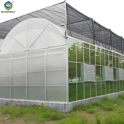 Cina Large Multi Span Hydroponic PC Sheet Struttura resistente alla neve in serra in vendita