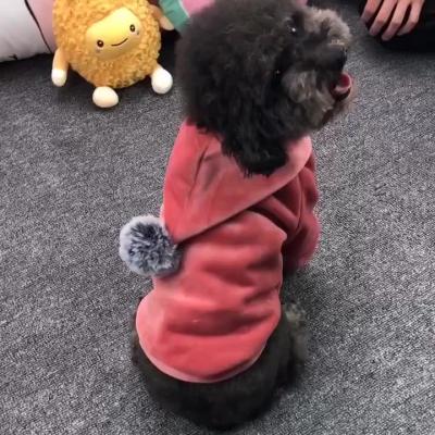 China Viable Customized Cute Pet Apparel Logo Printed Dog Clothes / Pet Safety Printed Polyester Basic Hoodie / Cotton Puppy for sale