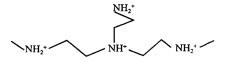 China Polímero Cationic alto de CAS 183815-54-5 PVAM Polyvinylamine à venda