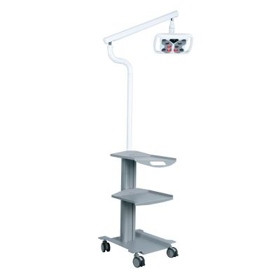China Beauty Salon Equipment Teeth Whitening Machine Dental Clinic Portable Dental Cart with Teeth Bleaching Light for sale