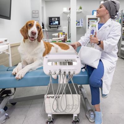 China Foshan Veterinary Equipment Factory Mobile Dental Delivery Unit Vet Use Dental Treatment Cart for Small Animals for sale