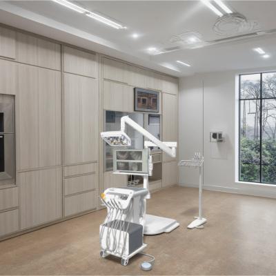 China High End Dental Delivery Unit with butterfly Shape LED Operation Light Dental Clinic Mobile Dental Cart Portable Dental Unit for sale