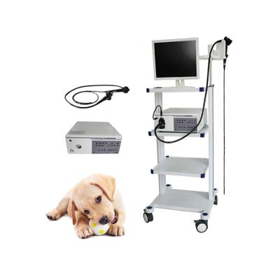 China Hot Sale Veterinary Borescope Price Veterinary Endoscope For Sale VET-9000 Dog Cat Veterinary Endoscope for sale