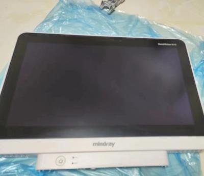 China Mindray BeneVision N15 Patient Monitor Liquid Crystal Display, Monitors for sale