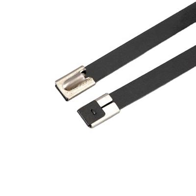 China #201/#304/#316 stainless steel stainless steel trackballs lock cable tie for sale