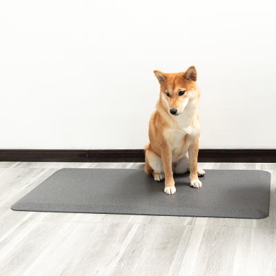 China New Arrival Good Quality Wholesale Custom Non-toxic Waterproof Pet Waterproof Mats And Pads for sale