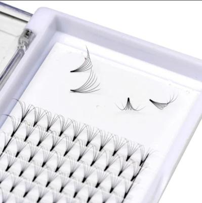 China Full Volume lashes extension luxury Beauty Supply Privated Label Pre Made Fans 3D 5D Short Stem premade volume fans for sale