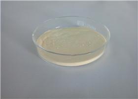 China Hohe Kraft-aktive pharmazeutische Rohstoff-Akne-Behandlung Isotretinoin CAS 4759-48-2 zu verkaufen